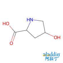L-羟基脯氨酸