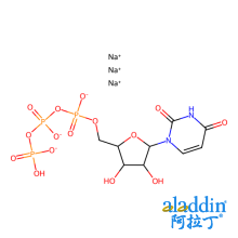 UTP 三钠盐  溶液