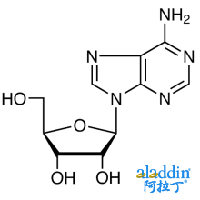 腺嘌呤核苷