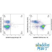 CD38 Rat mAb