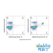 CD8 alpha Rat mAb