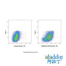 CD83 Rat mAb