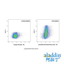 PD1/CD279 Rat mAb