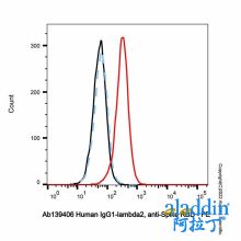 Human IgG1-lambda2, anti-Spike RBD
