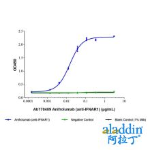 Anifrolumab (anti-IFNAR1)