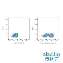 Muromonab (anti-CD3)
