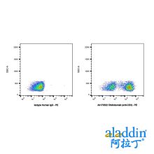 Otelixizumab (anti-CD3)
