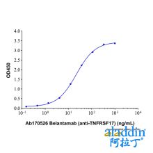 Belantamab (anti-TNFRSF17)