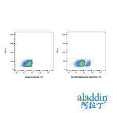 Selicrelumab (anti-CD40)
