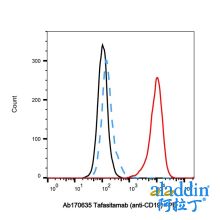 Tafasitamab (anti-CD19)