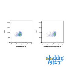 Omburtamab (anti-CD276)