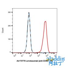 Lorvotuzumab (anti-CD56)