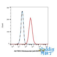Nimotuzumab (anti-EGFR)