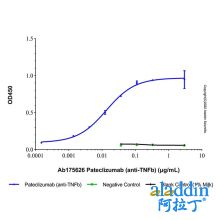 Pateclizumab (anti-TNFb)