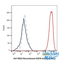 Recombinant EGFR Antibody (PE)