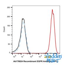 Recombinant EGFR Antibody (APC)
