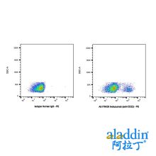 Inotuzumab (anti-CD22)