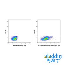Bersanlimab (anti-ICAM1)