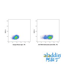 Itolizumab (anti-CD6)