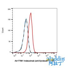 Indatuximab (anti-Syndecan-1)
