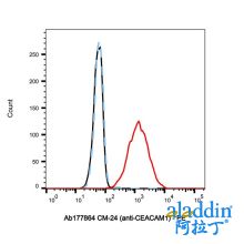 CM-24 (anti-CEACAM1)