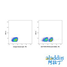 FR104 (anti-CD28)
