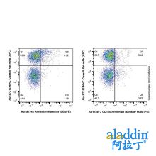 CD11c Armenian Hamster mAb (PE)