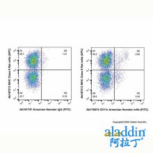 CD11c Armenian Hamster mAb (FITC)