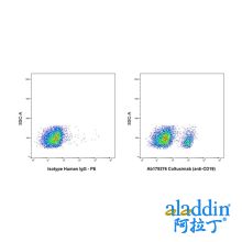 Coltuximab (anti-CD19)