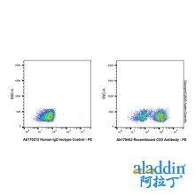 Recombinant CD3 Antibody