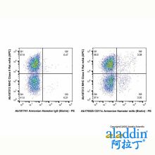 CD11c Armenian Hamster mAb (Biotin)