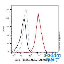 CD40 Mouse mAb (Biotin)