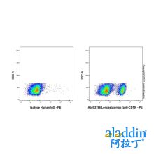 Loncastuximab (anti-CD19)
