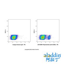 Ripertamab (anti-CD20)
