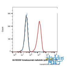 Vorsetuzumab mafodotin (anti-CD70)