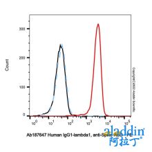 Human IgG1-lambda1, anti-Spike RBD