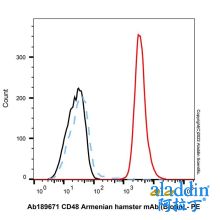 CD48 Armenian hamster mAb (Biotin)