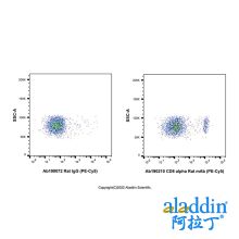 CD8 alpha Rat mAb (PE-Cy5)