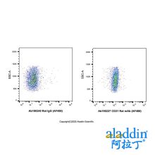CD31 Rat mAb (AF488)