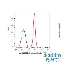 CD31 Rat mAb (Biotin)