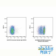 CD272/BTLA Armenian Hamster mAb (AF647)