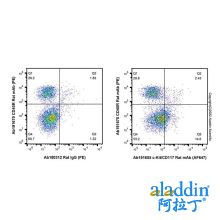 c-Kit/CD117 Rat mAb (AF647)