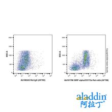 SIRP alpha/CD172a Rat mAb (AF700)