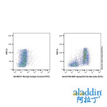 SIRP alpha/CD172a Rat mAb (FITC)
