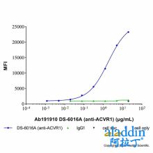 DS-6016A (anti-ACVR1)