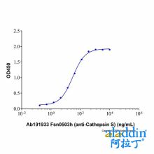 Fsn0503h (anti-Cathepsin S)