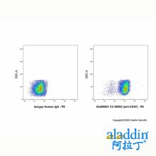CC-90002 (anti-CD47)
