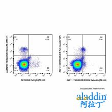 NKG2D/CD314 Rat mAb (AF488)