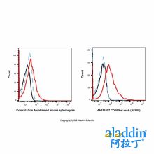 CD25 Rat mAb (AF555)