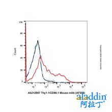 Thy1.1/CD90.1 Mouse mAb (AF555)